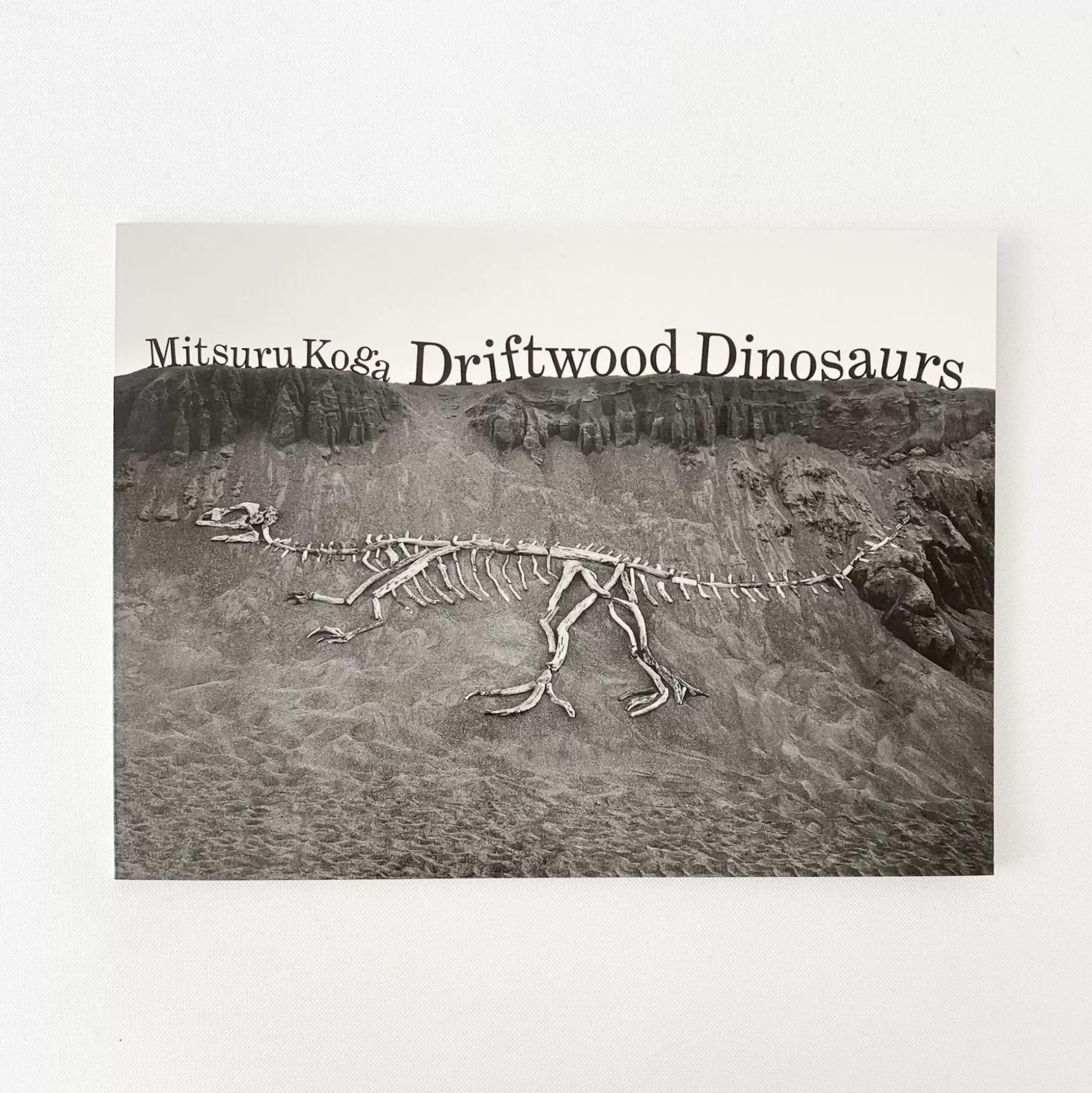 Discount Driftwood Dinosaurs' By Mitsuru Koga Art