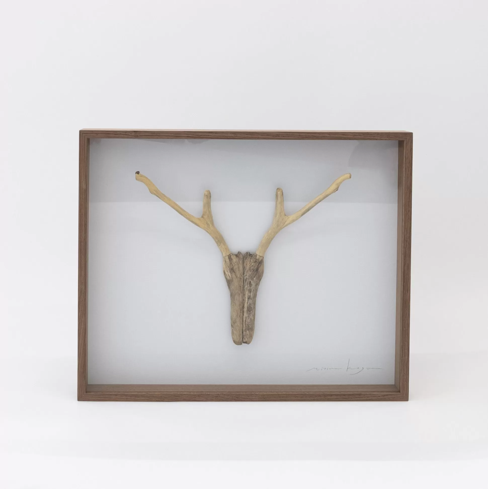 Clearance Driftwood Hunting Trophy #1 (2024) By Mitsuru Koga Art