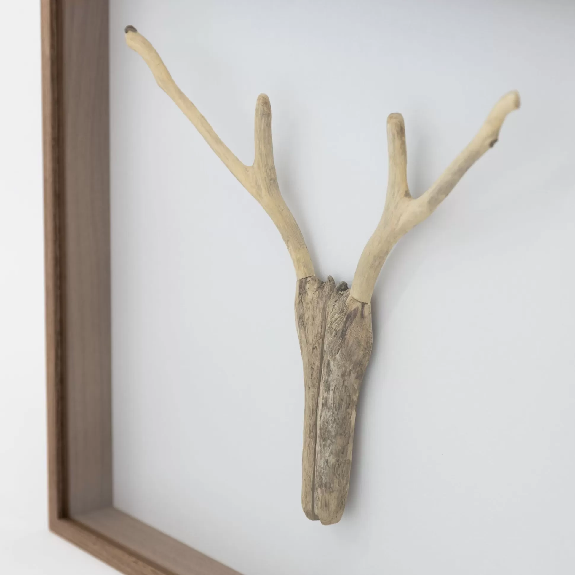 Clearance Driftwood Hunting Trophy #1 (2024) By Mitsuru Koga Art