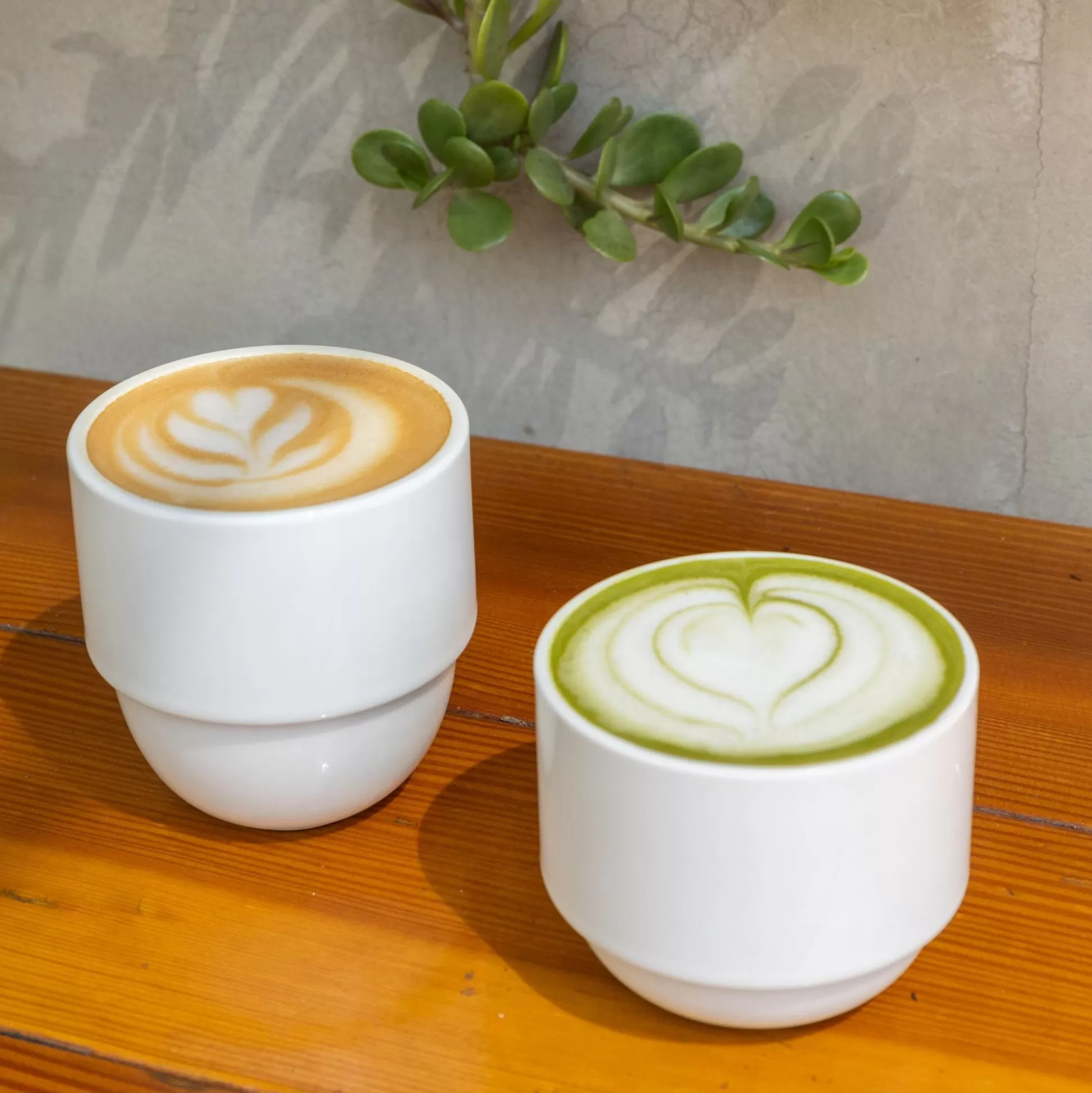 Outlet Hpw050 - Latte Cup Short Coffee & Tea