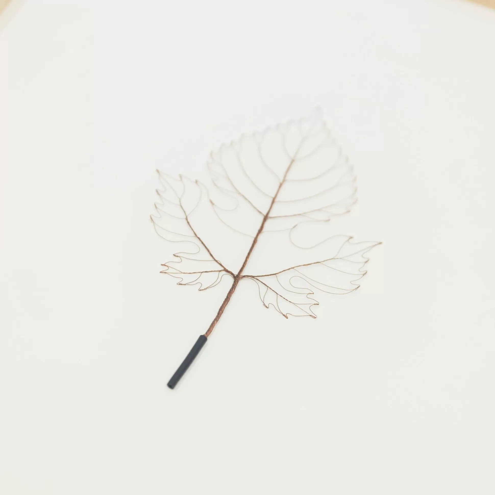 Best Sale Mitsuru Koga Copper Wire Leaf, 2022 Art