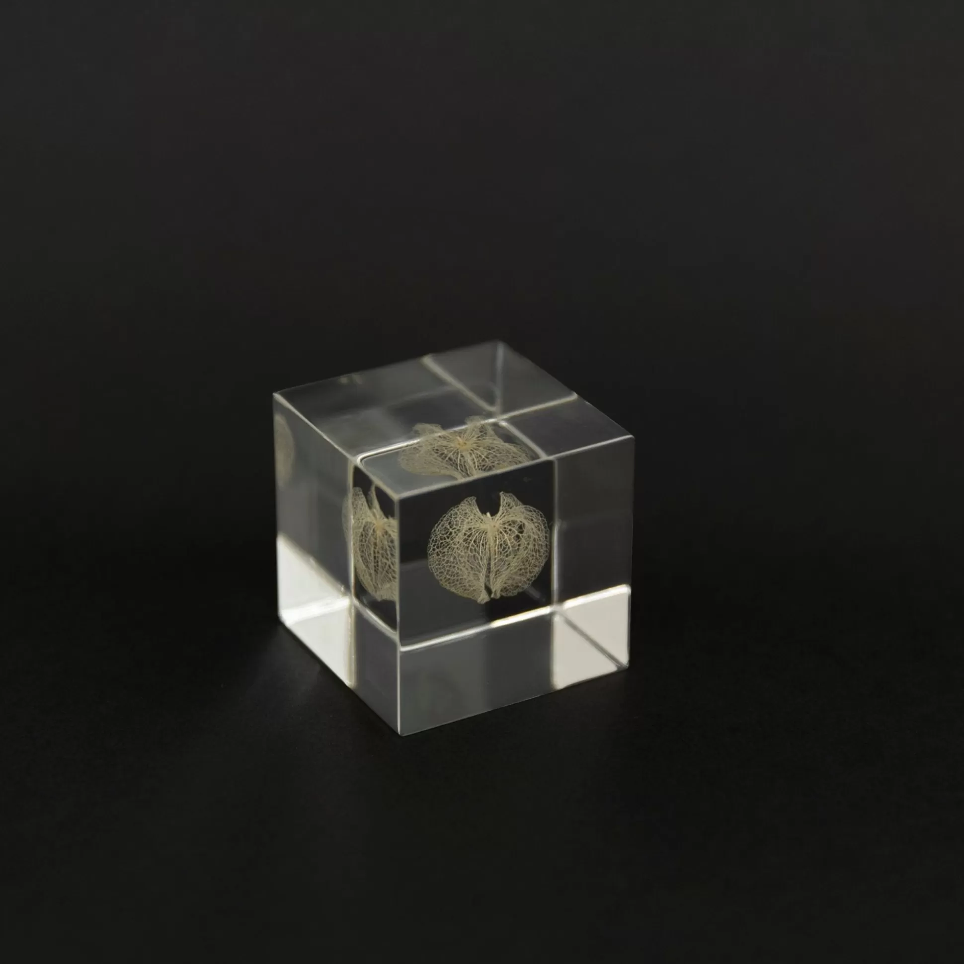 Fashion Sola Cube - Apple Of Peru Home Decor