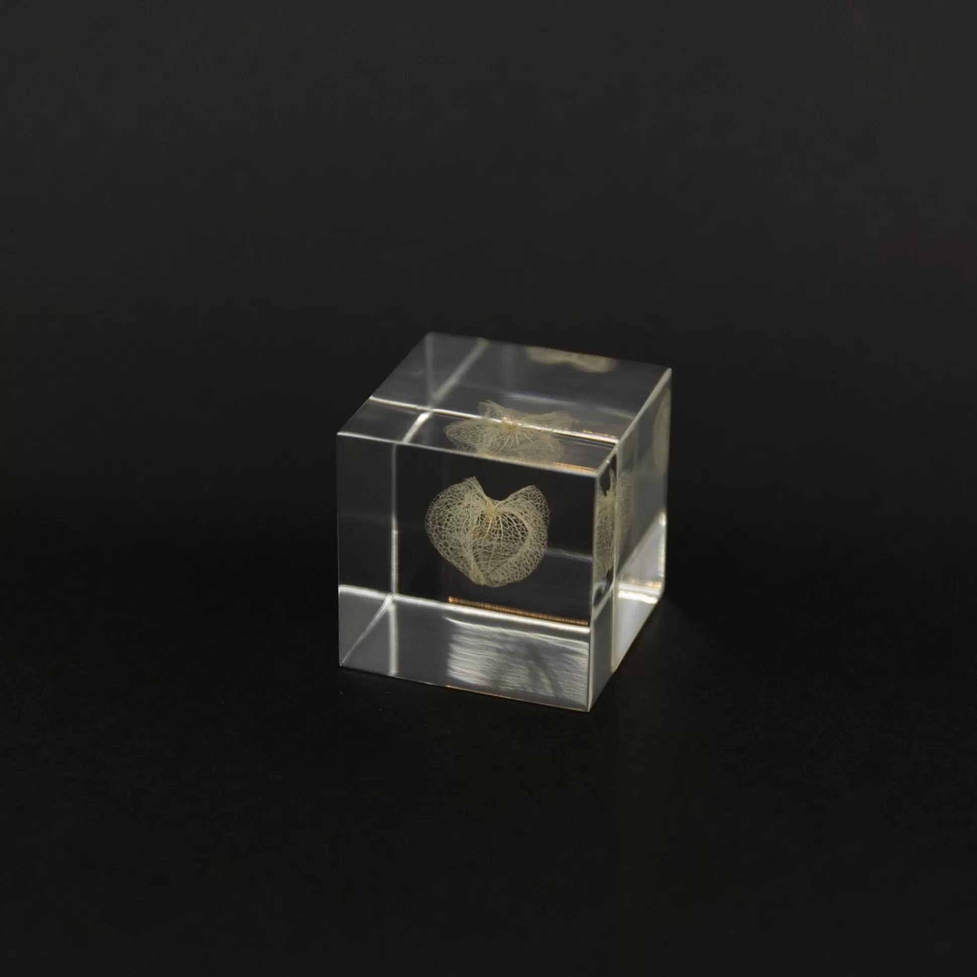 Fashion Sola Cube - Apple Of Peru Home Decor