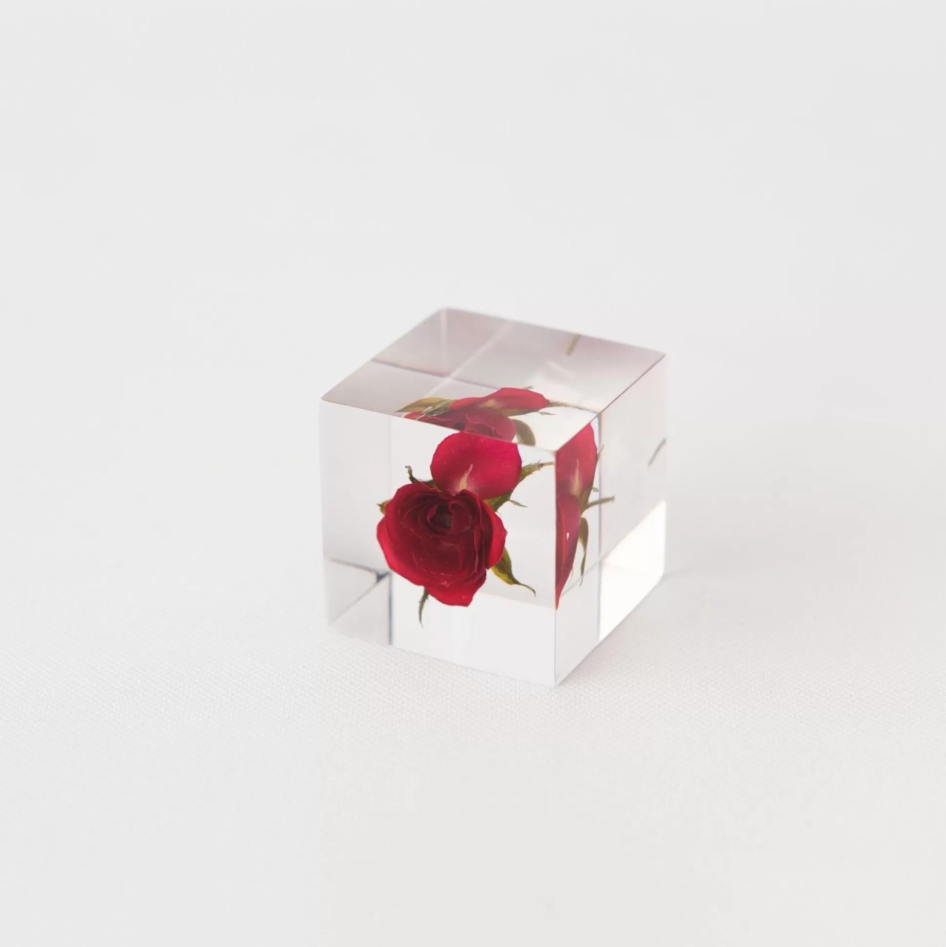 Cheap Sola Cube - Rose (Limited Edition) Home Decor