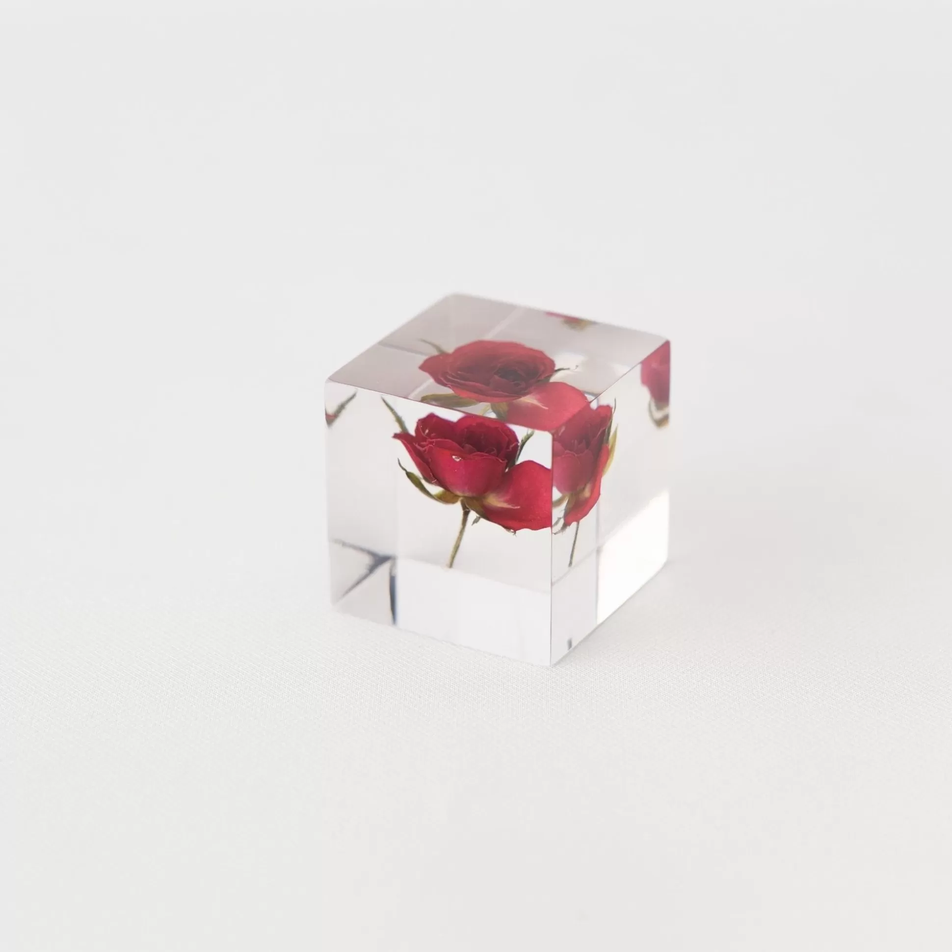 Cheap Sola Cube - Rose (Limited Edition) Home Decor